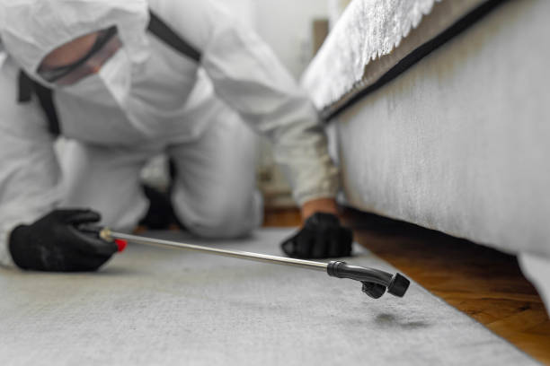 Professional Bed Bug Control technician working in Saybrook Manor, CT