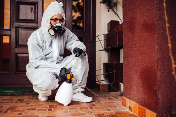 Reliable Bed Bug Control contractor in Saybrook Manor, CT by Nex Pest Control