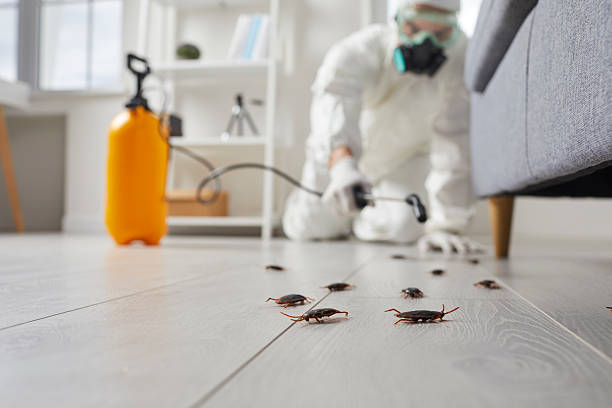 Trusted Fumigation Services service in Saybrook Manor, CT - Nex Pest Control