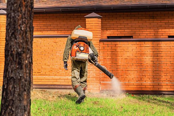 Trusted Mosquito Control service in Saybrook Manor, CT - Nex Pest Control